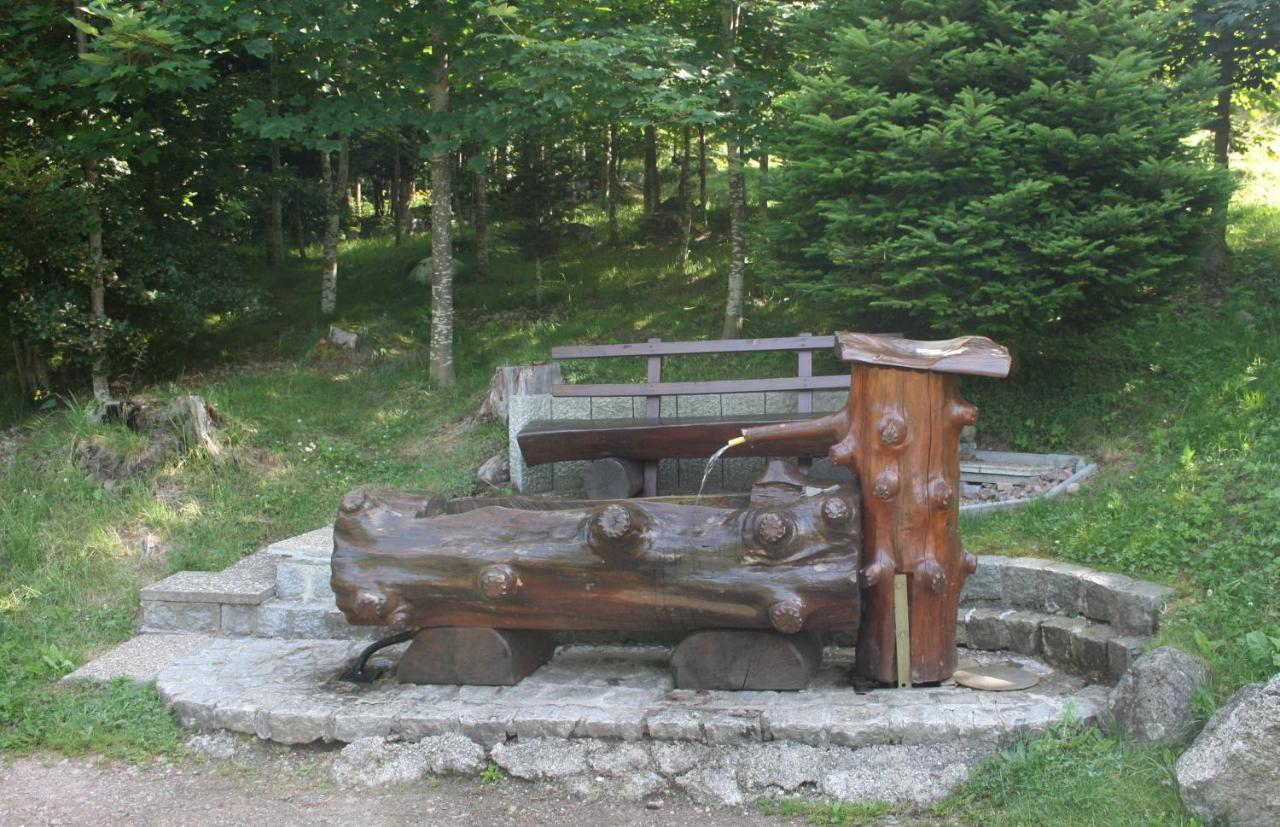 Hotel Bartlehof Schluchsee Kültér fotó